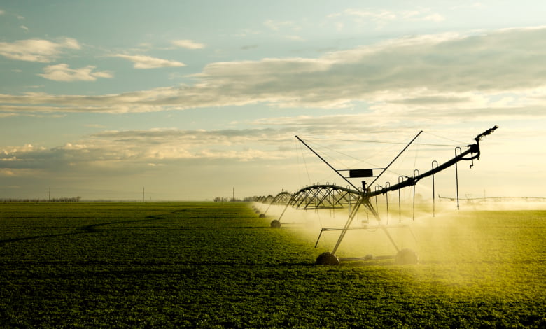 Segmento Irrigação Agrícola